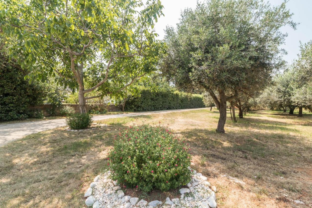 Apartments Ivica 1706 Ližnjan Εξωτερικό φωτογραφία